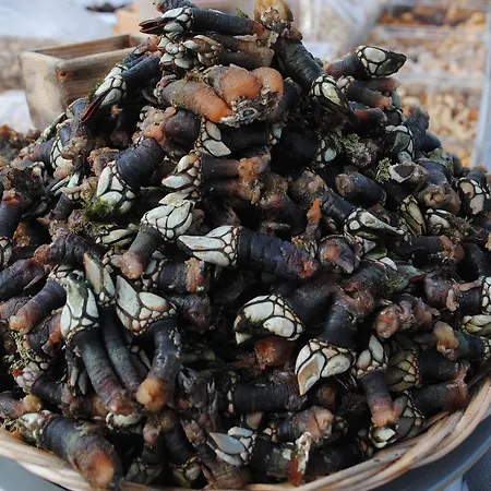 Cobres Rural Aparthotel