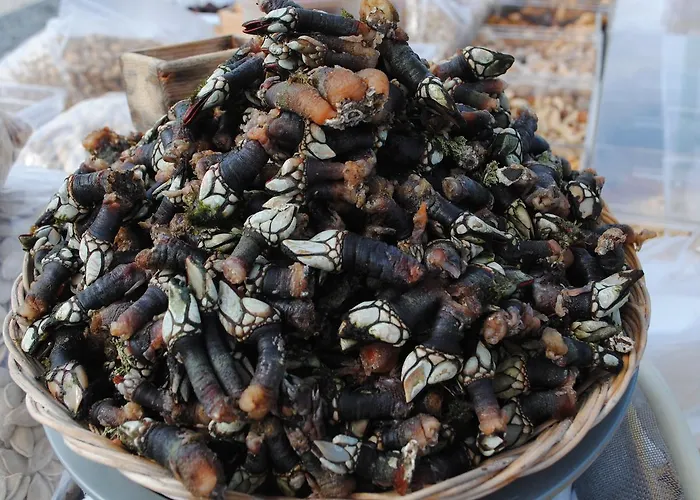 Cobres Rural Apartahotel